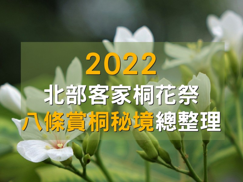 2022北部(台北、新北)桐花祭：8條賞桐秘境總整理